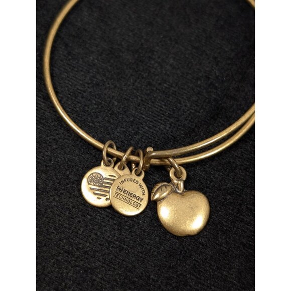 Alex and Ani Gold tone Apple Charm Expandable Bangle Stacking Bracelet 7 in - Picture 1 of 8